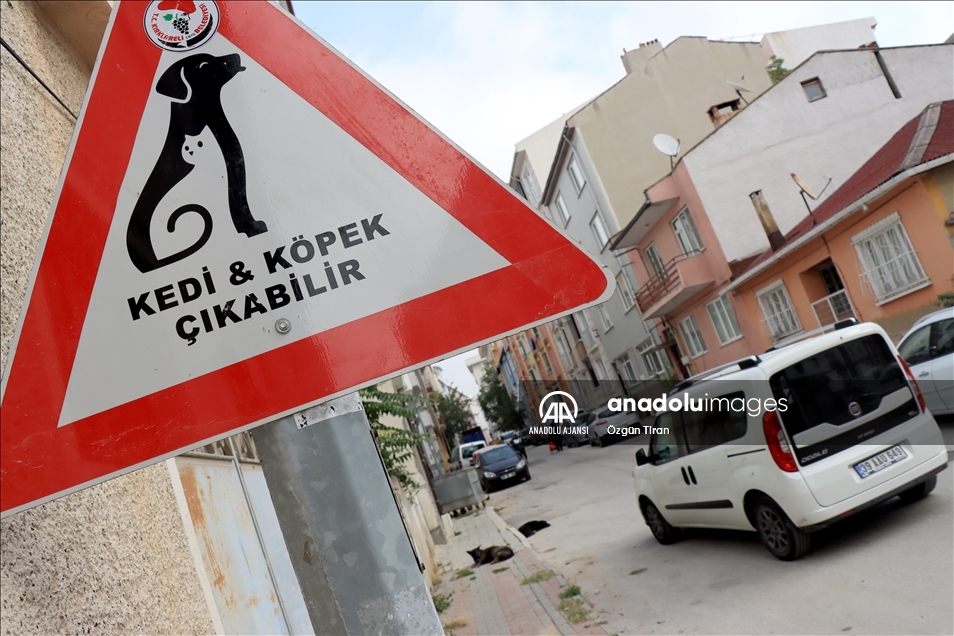 Kırklareli'nde sürücüler "kedi - köpek çıkabilir" tabelalarıyla uyarılıyor