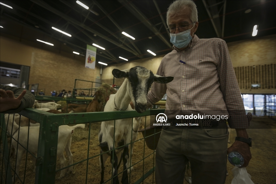 Kolombiya'da Uluslararası Tarım ve Hayvancılık Fuarı