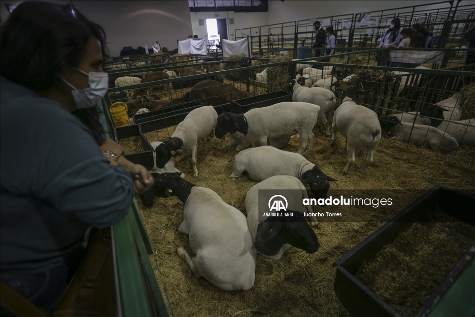 Kolombiya'da Uluslararası Tarım ve Hayvancılık Fuarı