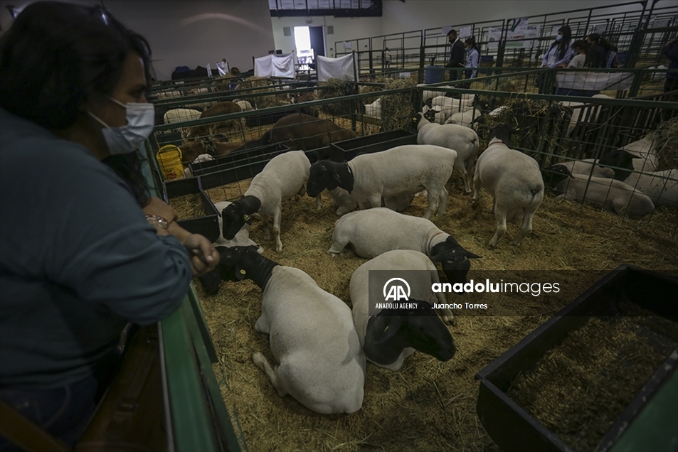 Las mejores imágenes de AgroExpo en Bogotá