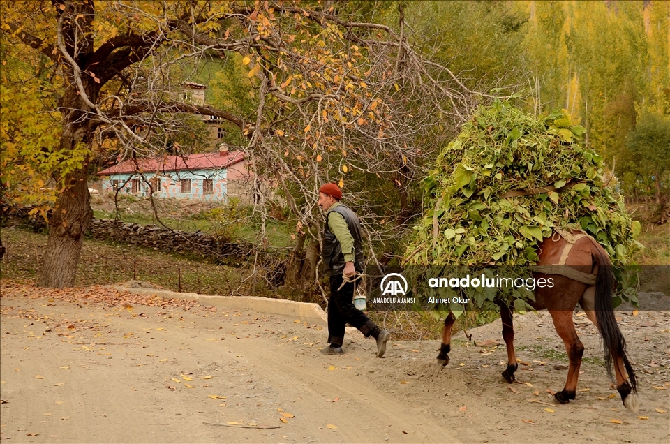 Fotoğrafçılar "Saklı cennet" Hizan'ın eşsiz sonbaharını görüntüledi