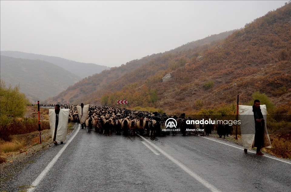 Fotoğrafçılar "Saklı cennet" Hizan'ın eşsiz sonbaharını görüntüledi