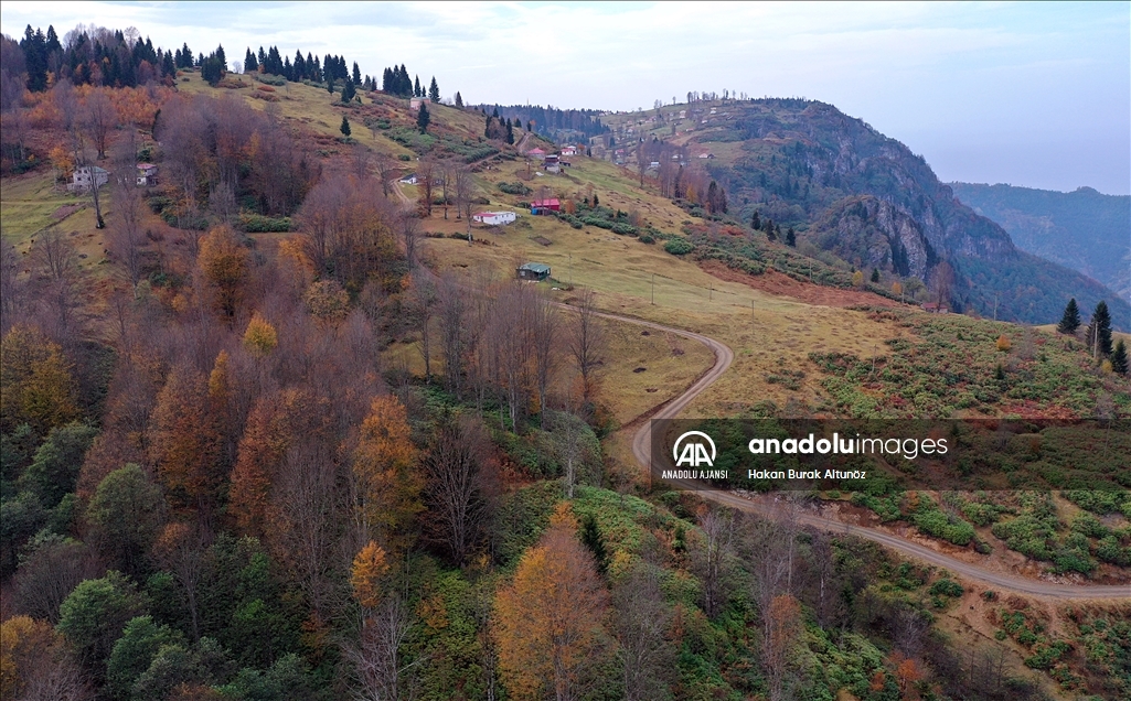 Trabzon'un 1600 rakımlı Hıdırnebi Yaylası'nda güz zamanı