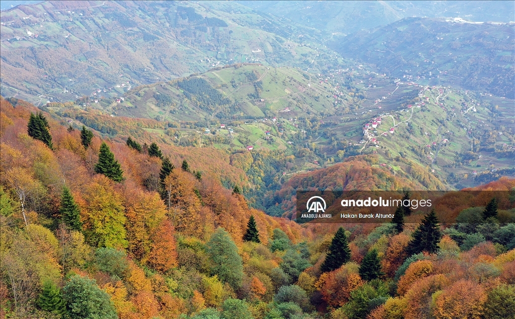 Trabzon'un 1600 rakımlı Hıdırnebi Yaylası'nda güz zamanı
