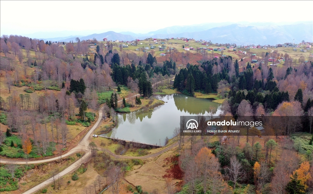 Trabzon'un 1600 rakımlı Hıdırnebi Yaylası'nda güz zamanı