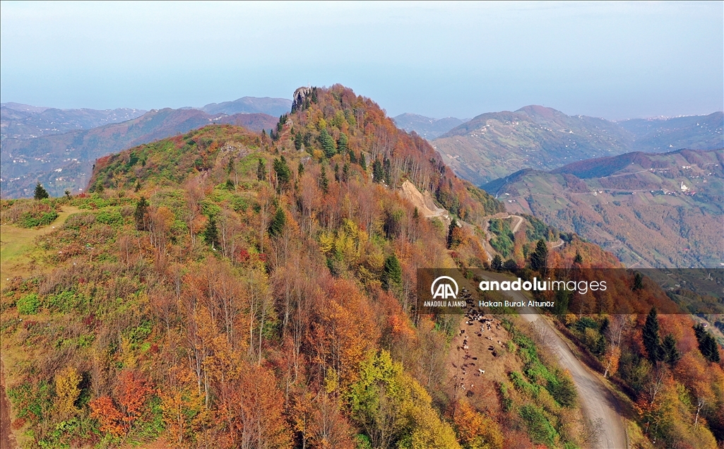 Trabzon'un 1600 rakımlı Hıdırnebi Yaylası'nda güz zamanı