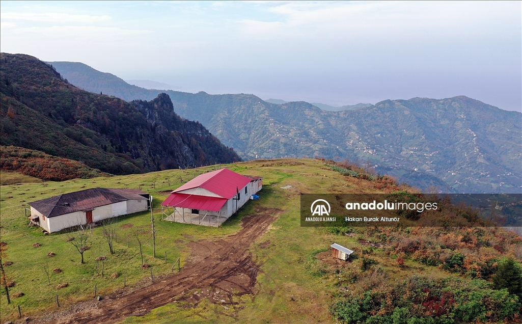 Trabzon'un 1600 rakımlı Hıdırnebi Yaylası'nda güz zamanı