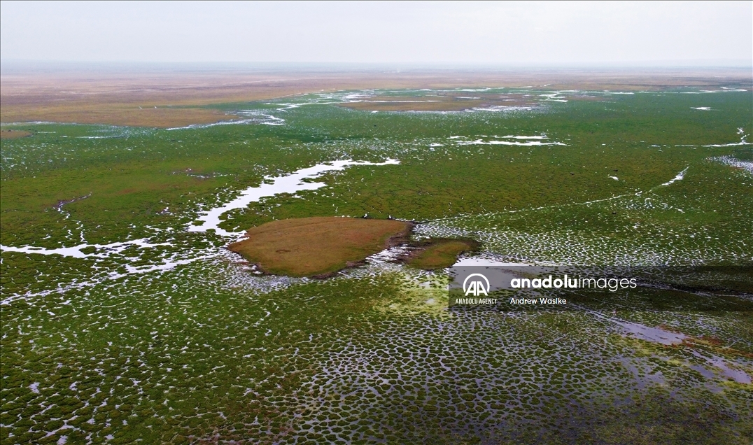 Taman Nasional Kenya jadi lahan basah akibat cairnya salju Kilimanjaro