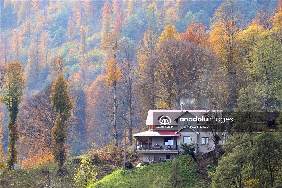 Trabzon'un 1600 rakımlı Hıdırnebi Yaylası'nda güz zamanı