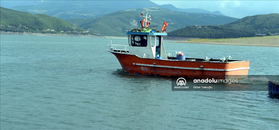 Kuraklık Almus Baraj Gölü'nde su seviyesinin azalmasına neden oldu
