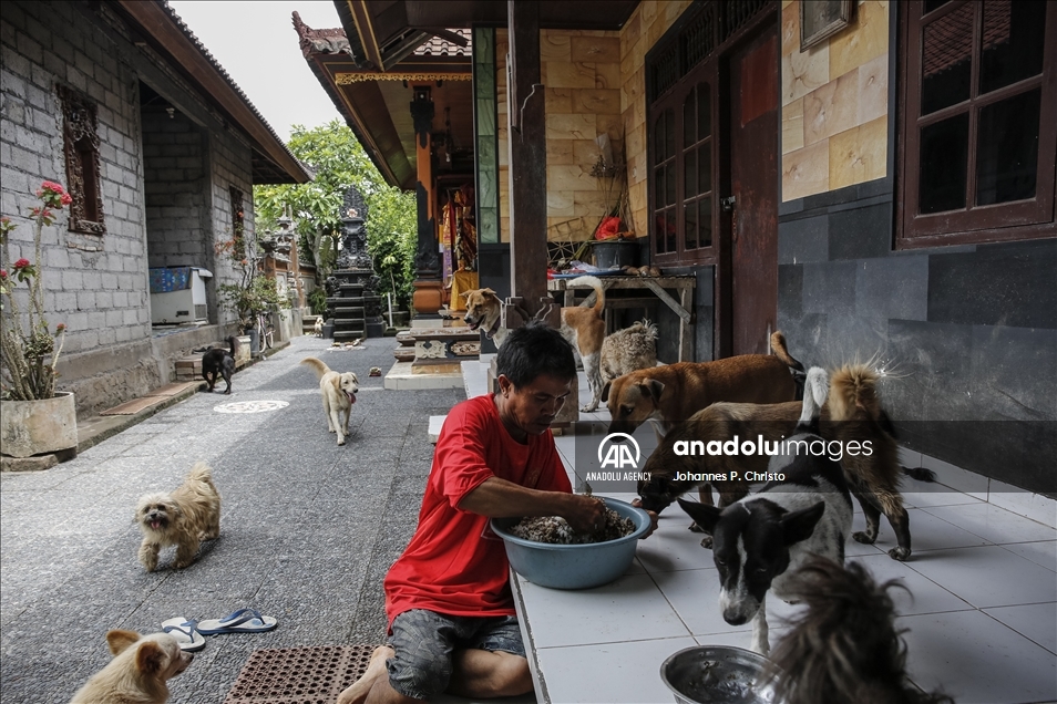 I Ketut Widanta, penyelamat anjing-anjing terlantar dari Bali