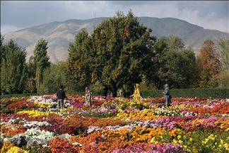 الحديقة النباتية في طهران تجمع بين الطبيعة والجمال - وكالة الأناضول