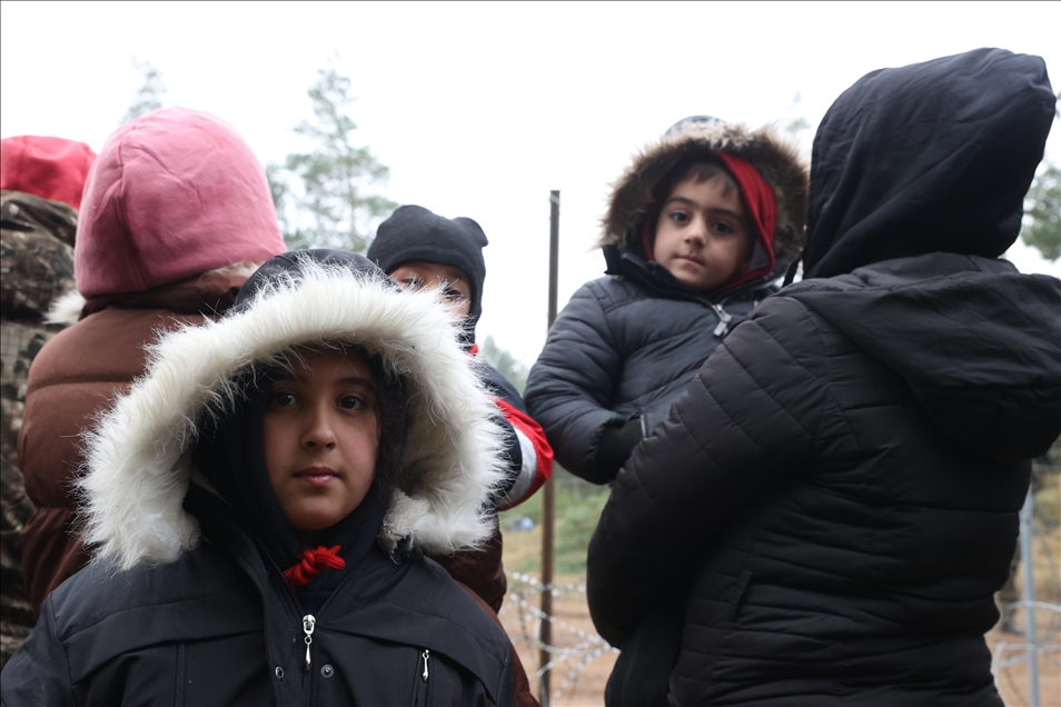 Минобороны Польши: Группам беженцев удалось проникнуть с территории Беларуси