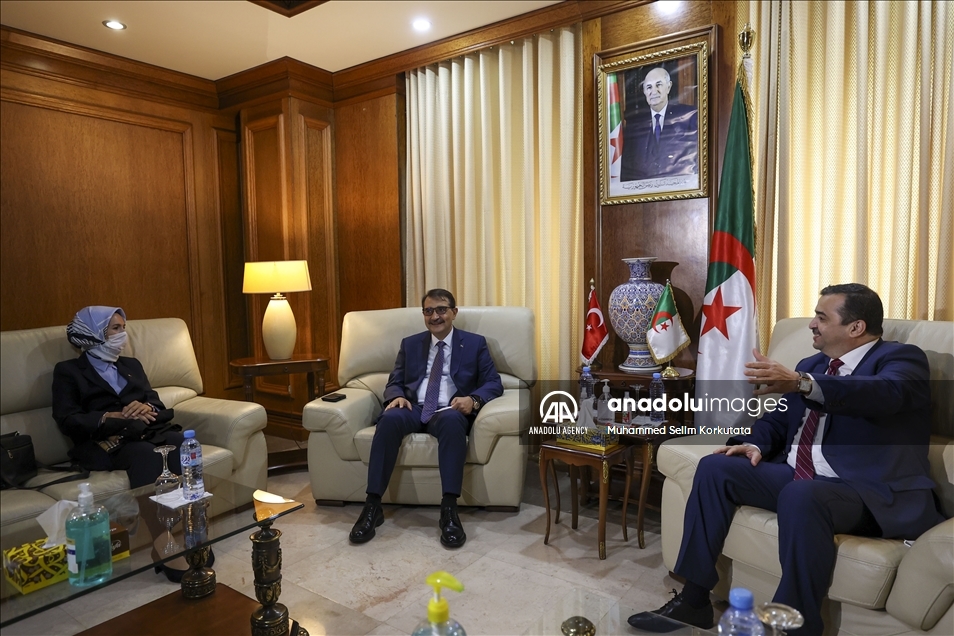 تركيا: محادثات تمديد اتفاقية الغاز مع الجزائر تسير بإيجابية