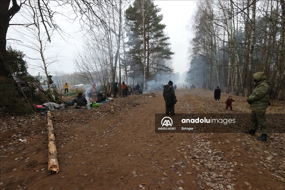 Минобороны Польши: Группам беженцев удалось проникнуть с территории Беларуси