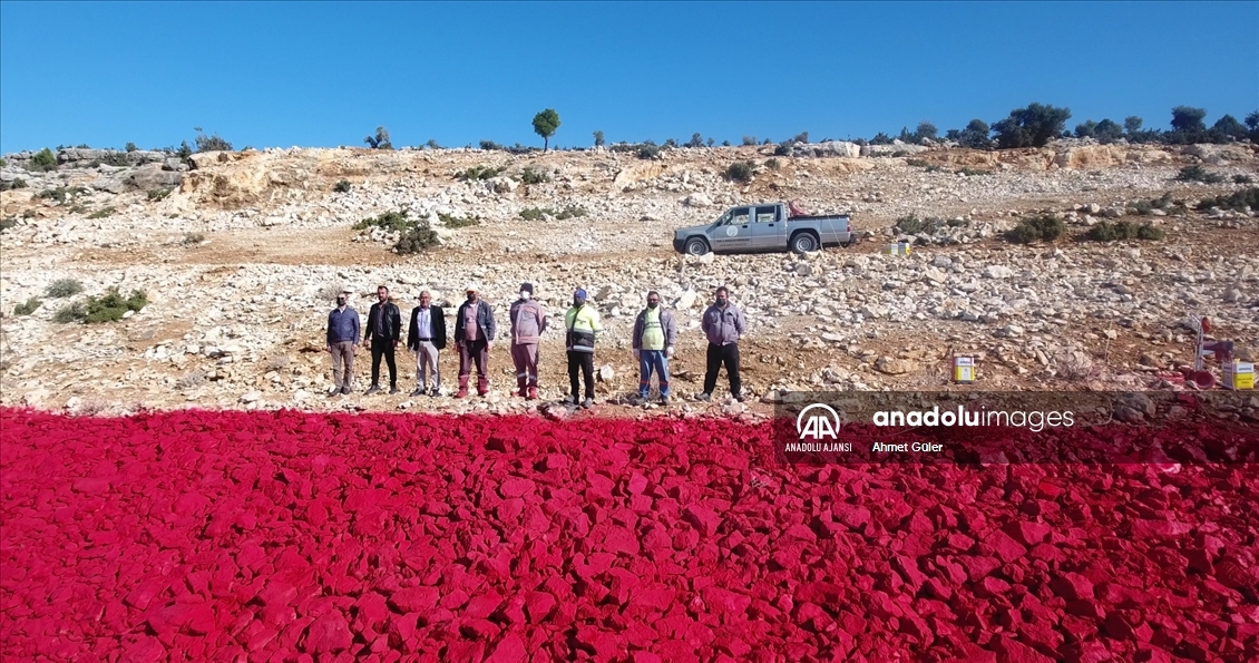 Mersin'de 22 dönümlük araziye işlenen Türk bayrağı 10 kişiyle 40 günde boyandı
