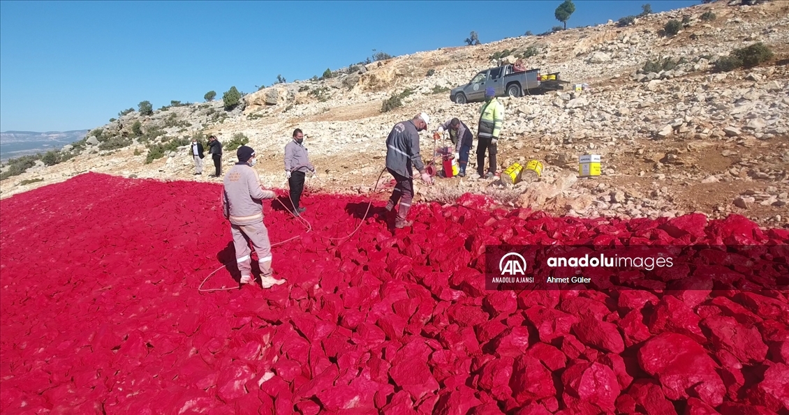 Mersin'de 22 dönümlük araziye işlenen Türk bayrağı 10 kişiyle 40 günde boyandı
