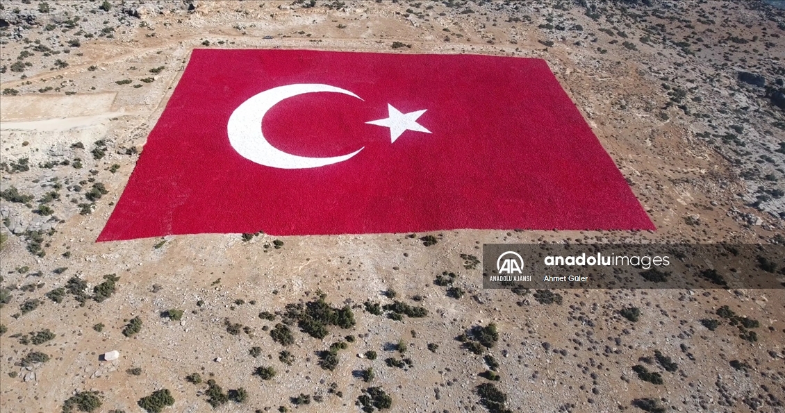 Mersin'de 22 dönümlük araziye işlenen Türk bayrağı 10 kişiyle 40 günde boyandı