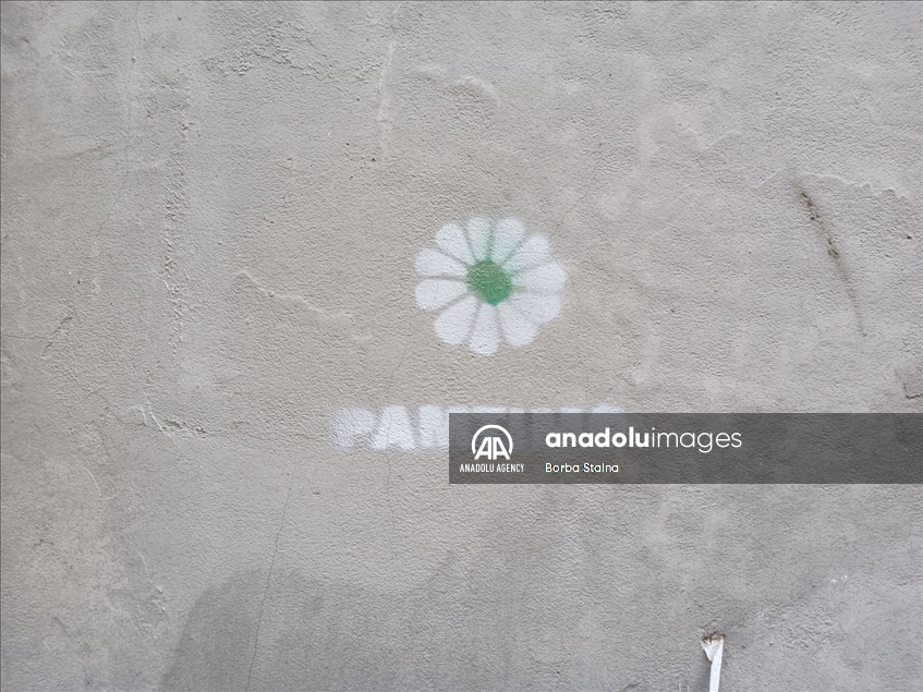 Cvijet Srebrenice na fasadama zgrada u Beogradu