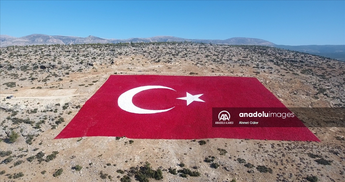 Mersin'de 22 dönümlük araziye işlenen Türk bayrağı 10 kişiyle 40 günde boyandı