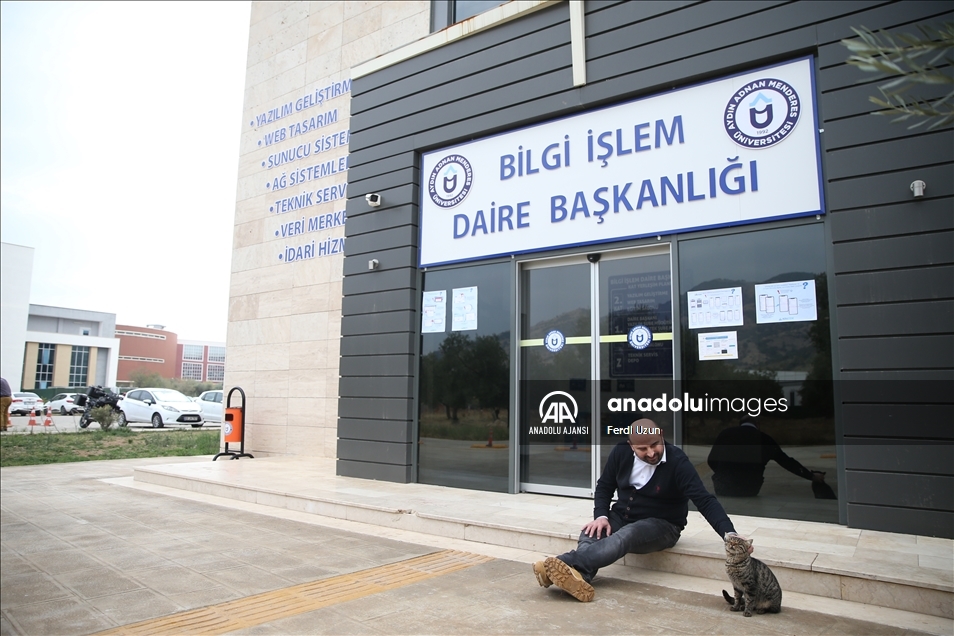Üniversite çalışanları 15 kediyle aynı ofisi paylaşıyor