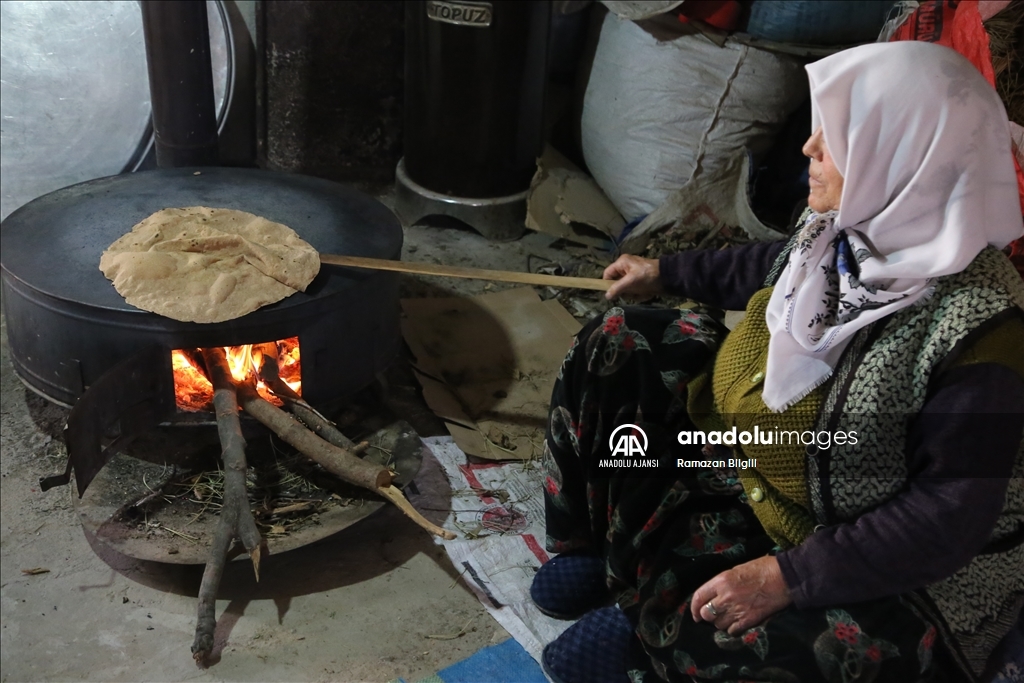 Yaban armutları geleneksel yöntemle yufka ekmek oluyor
