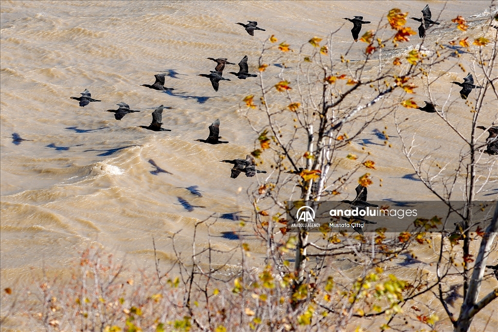 Turquie: Le parc national du lac Kovada dévoile des beautés différentes à chaque saison