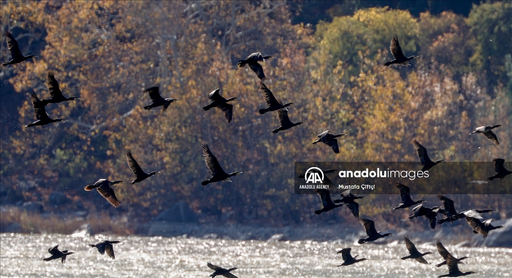 Turquie: Le parc national du lac Kovada dévoile des beautés différentes à chaque saison