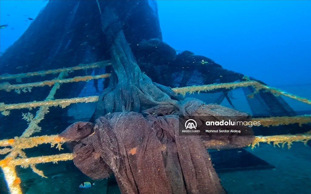 "Hayalet ağ" dalış turizmi için batırılan vapuru kapladı