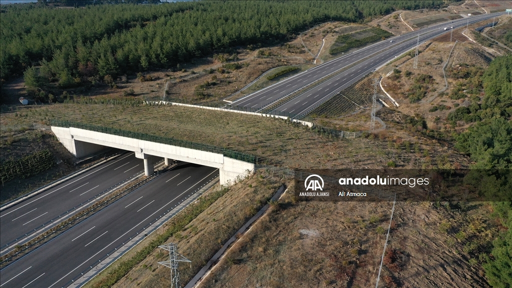 İstanbul-İzmir Otoyolu çevreci özellikleriyle dikkati çekiyor