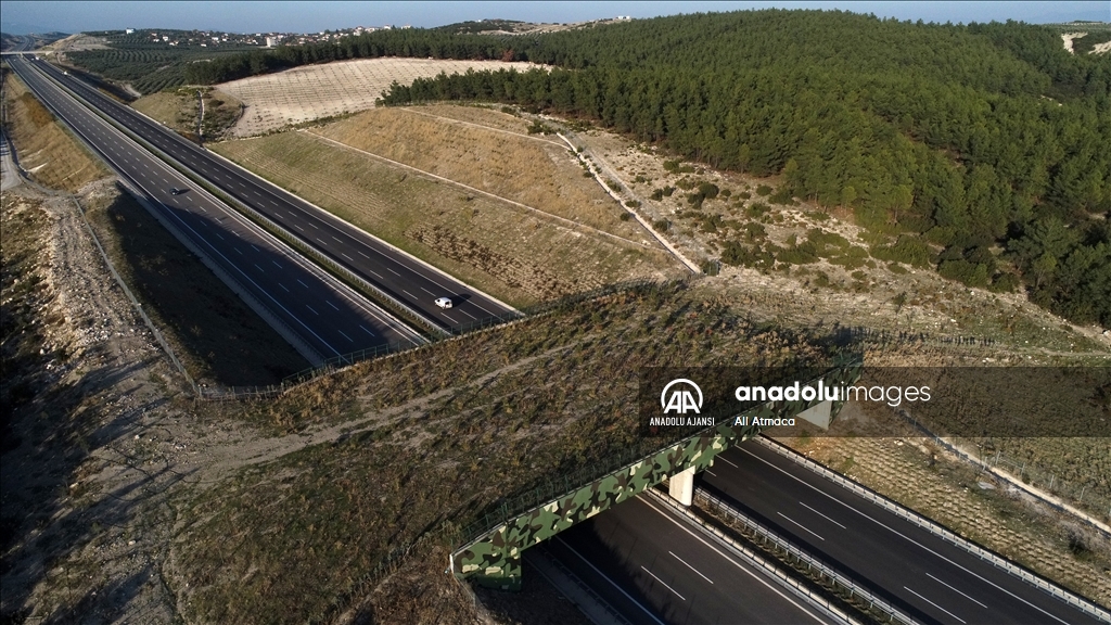 İstanbul-İzmir Otoyolu çevreci özellikleriyle dikkati çekiyor