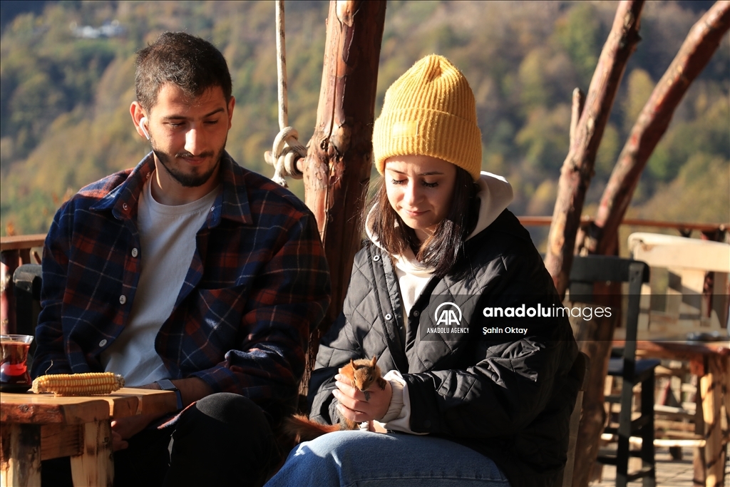 Ardilla encontrada por pareja en un bosque de Turquía se convierte en miembro de la familia