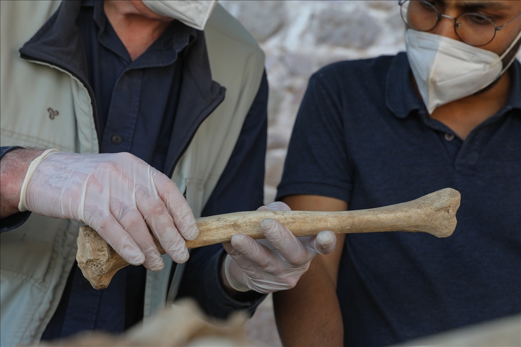 Pergamon'da yaşayanlar karbonhidrat ağırlıklı beslenmiş