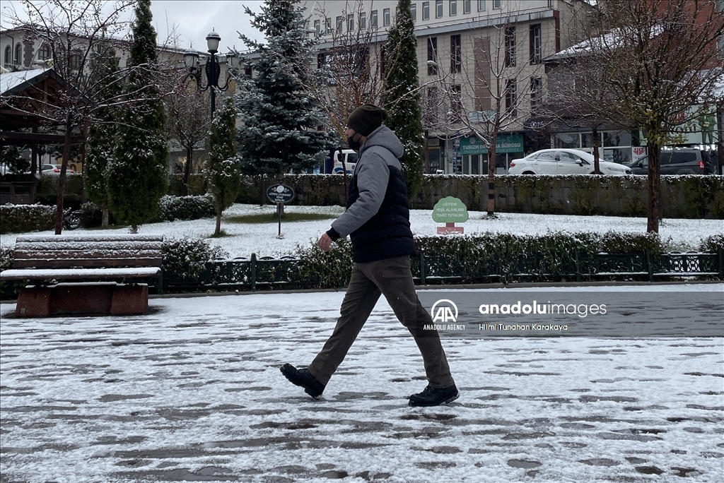 Восток Анатолии накрыло снегом