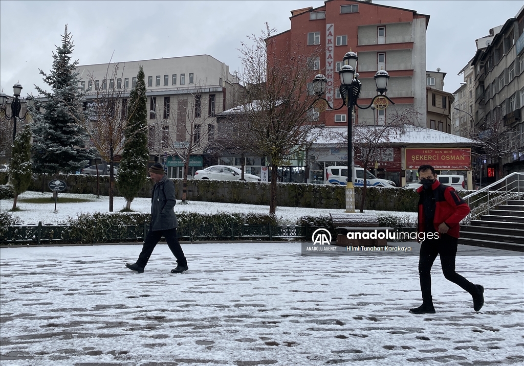 Восток Анатолии накрыло снегом
