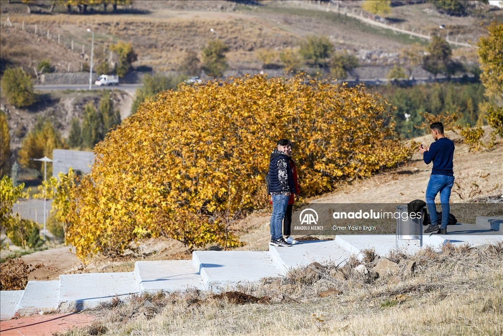 چشم‌انداز زیبای پاییزی در شهر دیاربکر