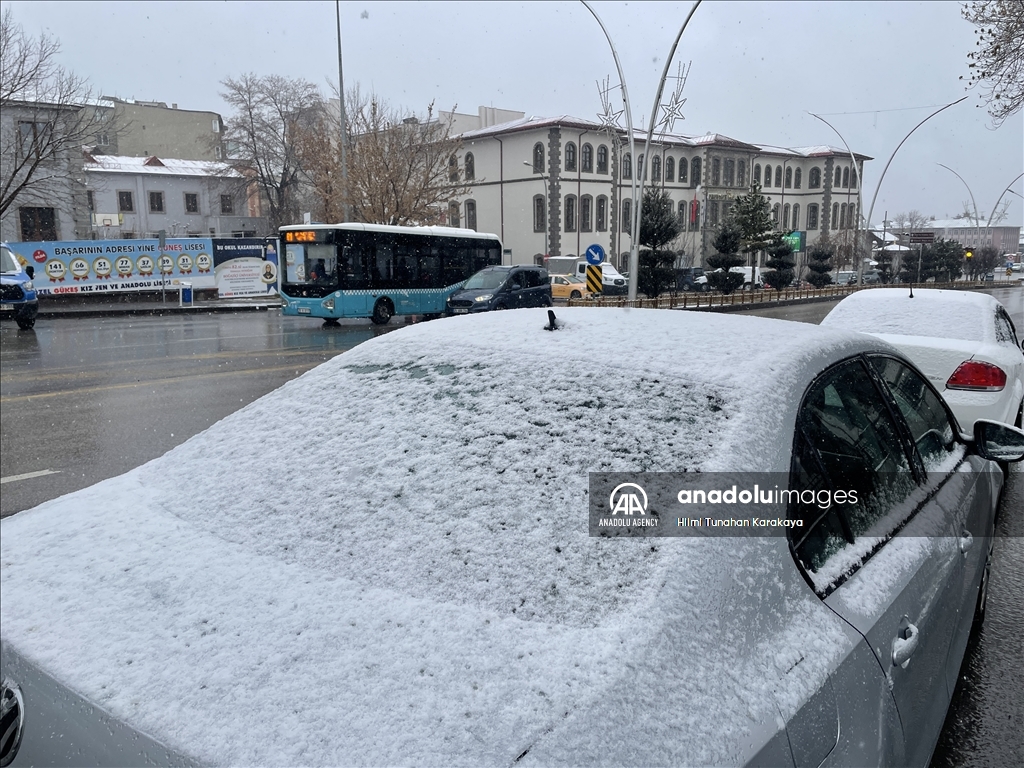 Восток Анатолии накрыло снегом