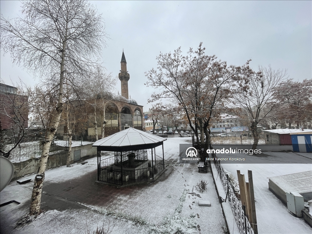 Восток Анатолии накрыло снегом