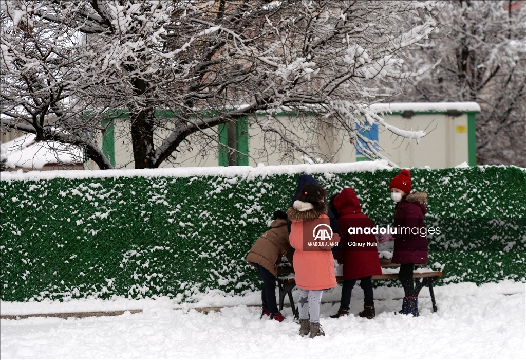 Ardahan'da kar yağışı