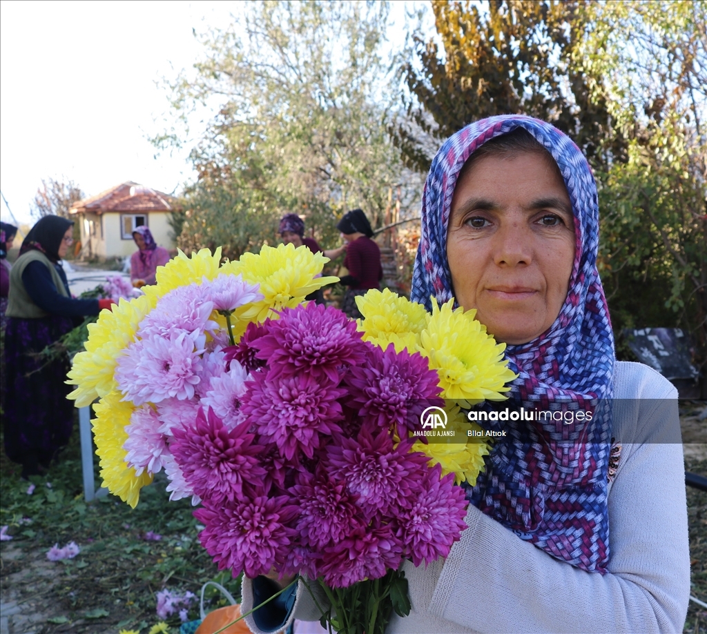 58 yaşındaki kadın çiçek serası hayaline devletten aldığı 720 bin liralık hibeyle kavuştu