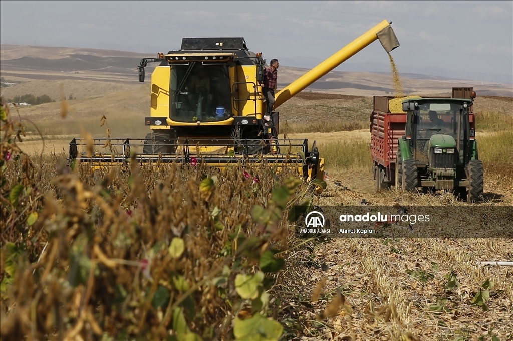 Diyarbakır'da soya üretimi artacak