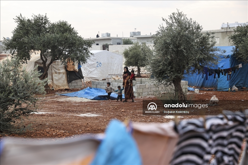 İç savaş mağdurlarının zeytin ağaçları arasına kurulan kamptaki yaşam mücadelesi