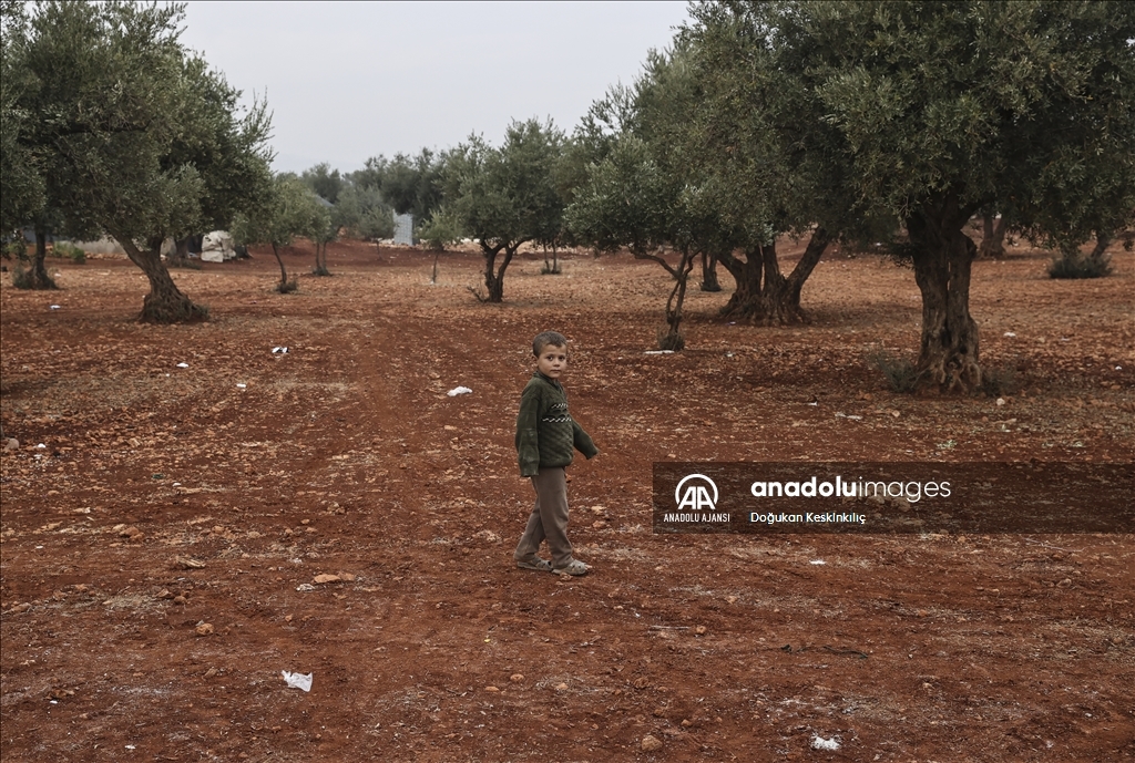 İç savaş mağdurlarının zeytin ağaçları arasına kurulan kamptaki yaşam mücadelesi
