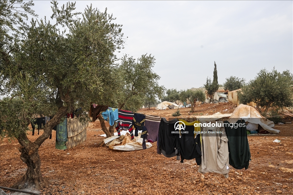 İç savaş mağdurlarının zeytin ağaçları arasına kurulan kamptaki yaşam mücadelesi