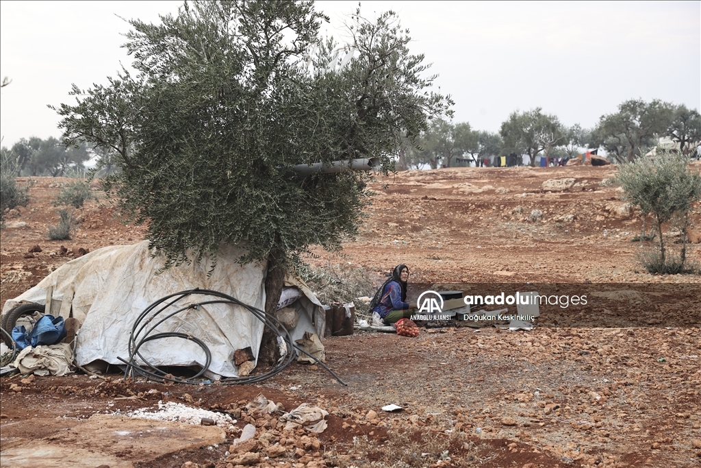 İç savaş mağdurlarının zeytin ağaçları arasına kurulan kamptaki yaşam mücadelesi