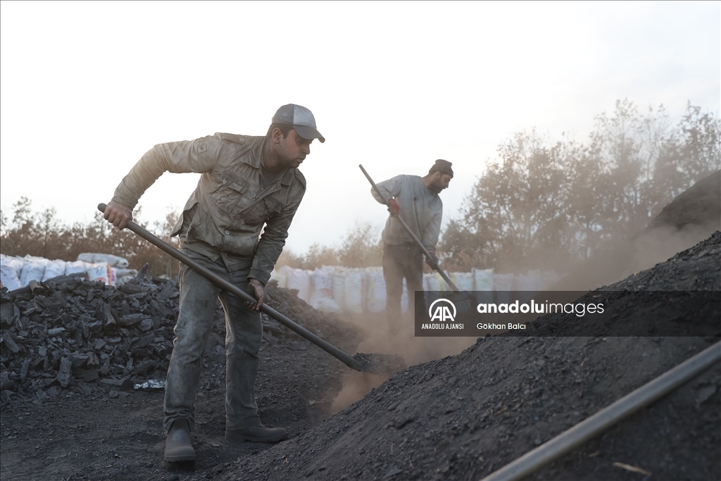 Zor şartlarda mangal kömürü üretip ailelerinin geçimlerini sağlıyorlar