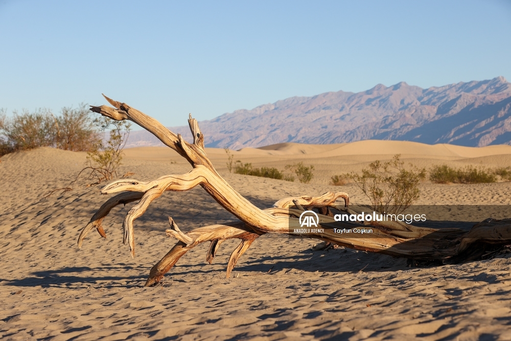 Imágenes de dunas planas de mesquite en el Death Valley, California