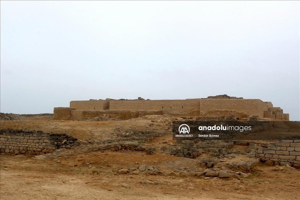 عُمان.. "البليد الأثري" حكاية التاريخ في ظفار القديمة