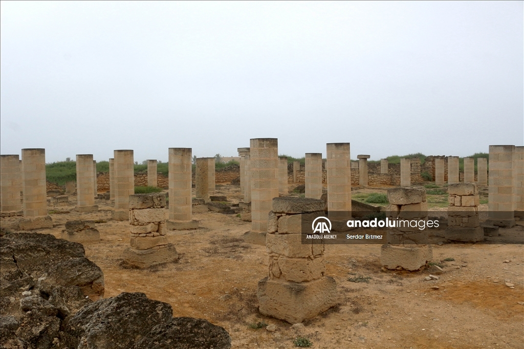 عُمان.. "البليد الأثري" حكاية التاريخ في ظفار القديمة