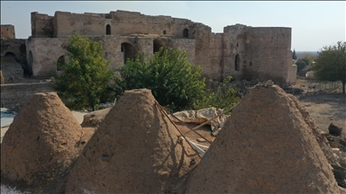 Harran Sarayı'nın 9 asırlık salonu gün yüzüne çıkarıldı